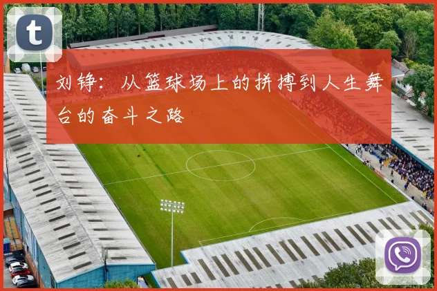 刘铮：从篮球场上的拼搏到人生舞台的奋斗之路